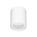 Brilliant Anka White/Black 9W CCT Surface Mount Downlight