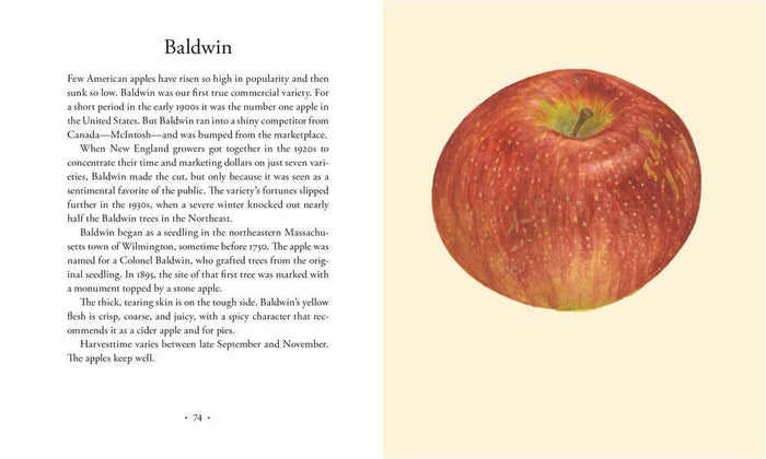 Apples, by Roger Yepsen