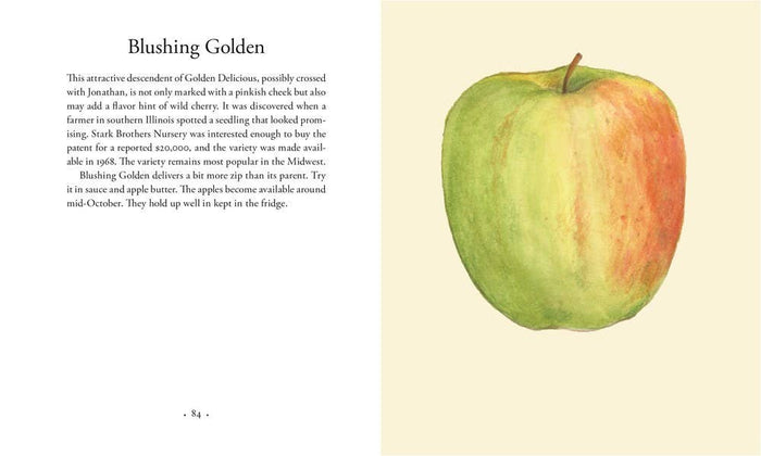 Apples, by Roger Yepsen