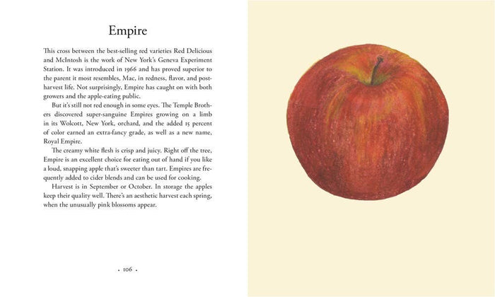 Apples, by Roger Yepsen