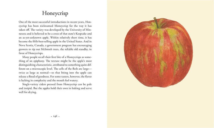 Apples, by Roger Yepsen