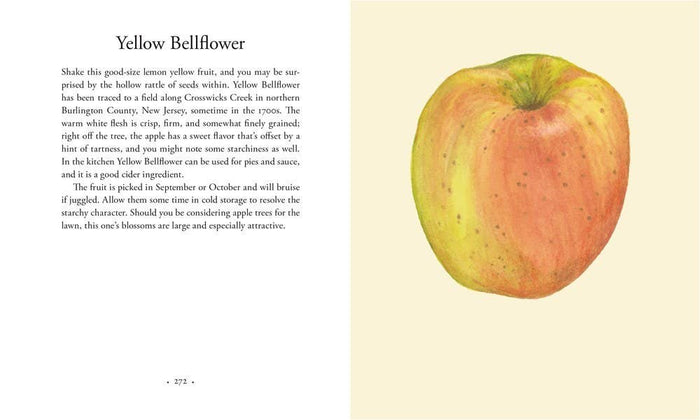Apples, by Roger Yepsen
