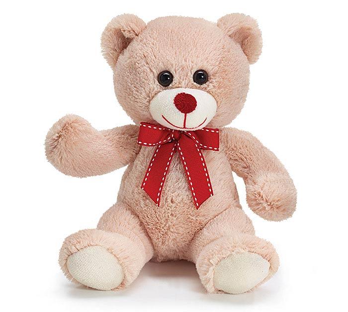 Beige Plush Bear