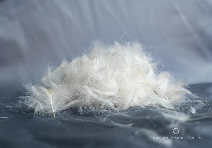 Pile of 20% Down 80% Feather Fill | Northern Feather Canada