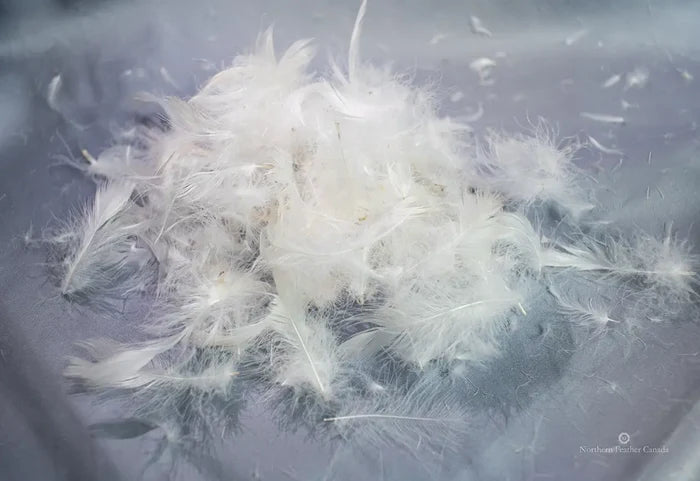 A pile of 10% Down & 90% Feather fill | Northern Feather Canada