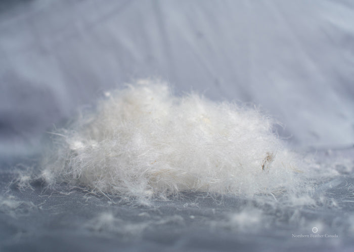 Luksus Prestige Pillow