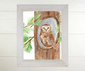 Owl in Pine Print