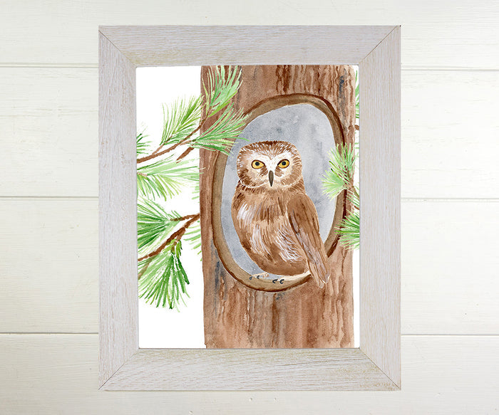 Owl in Pine Print
