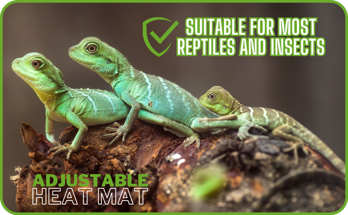 Reptile Vivarium PVC Temp Adjustable Heat Mats (4 Sizes)