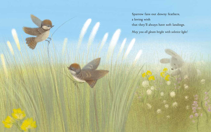 Summer: A Solstice Story, by Kelsey E. Gross & Renata Liwska