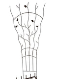 TR92533B-IA