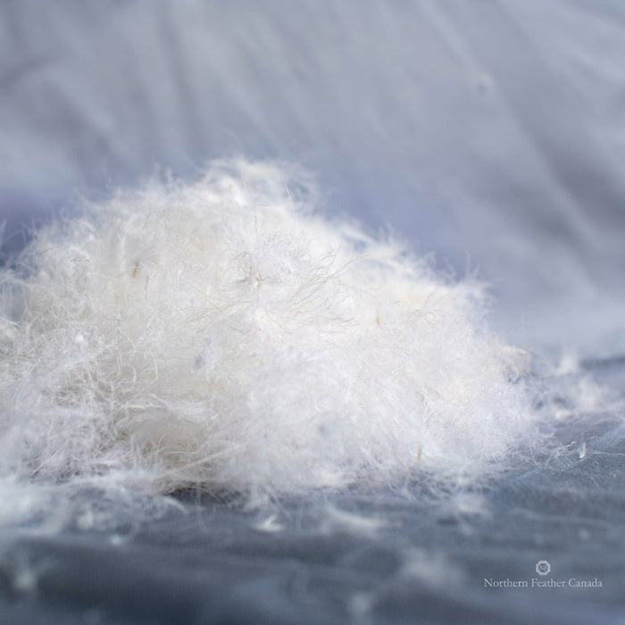 White Down Duvet